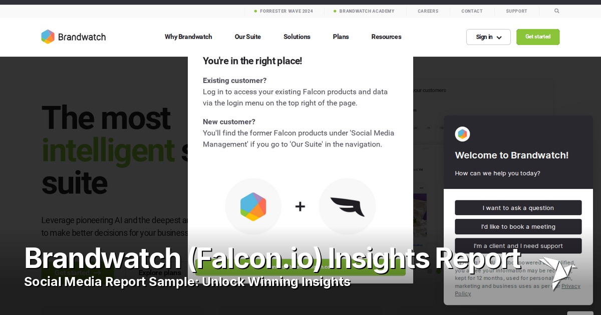Brandwatch (Falcon.io) Insights Report