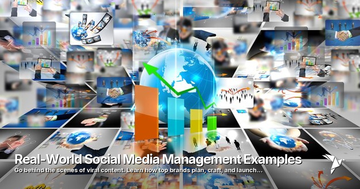 Real-World Social Media Management Examples
