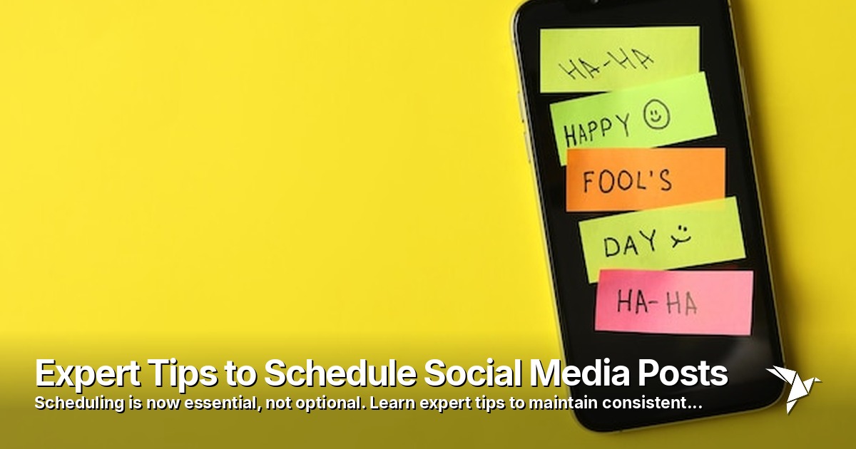 Expert Tips to Schedule Social Media Posts
