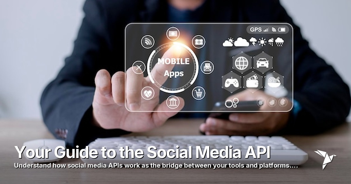 Your Guide to the Social Media API