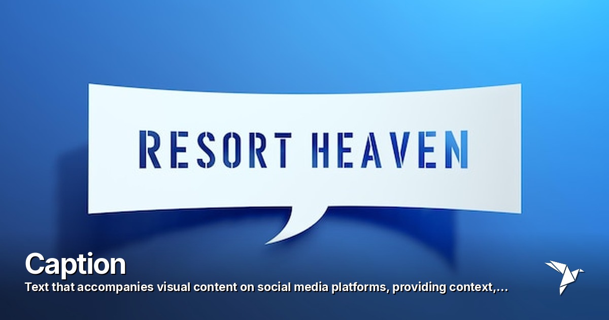 Caption — Text that accompanies visual content on social media platforms | Digital Marketing
