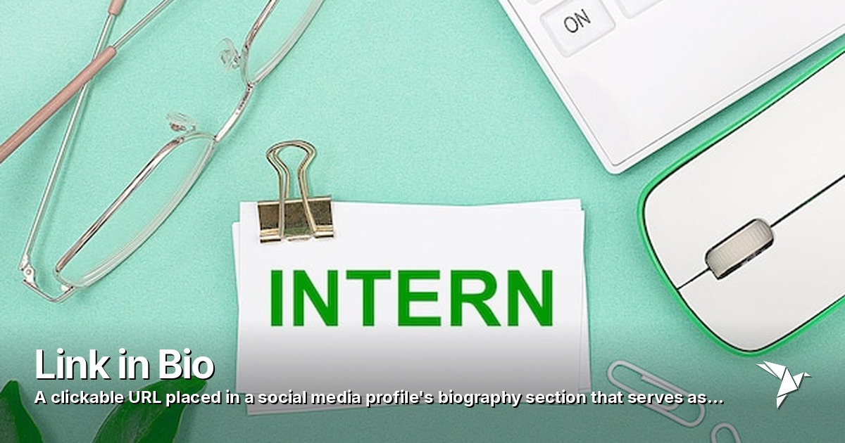Link in Bio — Clickable URL placed in a social media profile's biography section | Digital Marketing