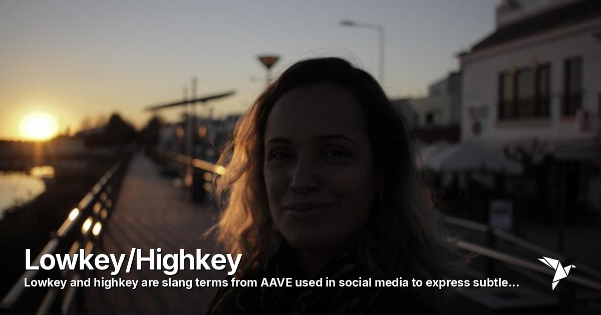 Lowkey/Highkey — Lowkey and highkey are slang terms from AAVE | Digital Marketing